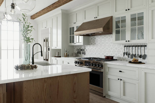 Affordable Open Concept Kitchen solutions in Hopkins, MN